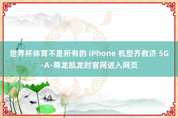 世界杯体育不是所有的 iPhone 机型齐救济 5G-A-尊龙凯龙时官网进入网页