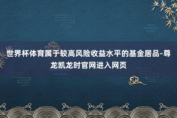世界杯体育属于较高风险收益水平的基金居品-尊龙凯龙时官网进入网页