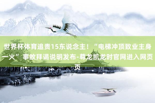 世界杯体育追责15东说念主！“电梯冲顶致业主身一火” 事故拜谒说明发布-尊龙凯龙时官网进入网页
