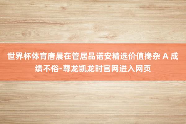 世界杯体育唐晨在管居品诺安精选价值搀杂 A 成绩不俗-尊龙凯龙时官网进入网页