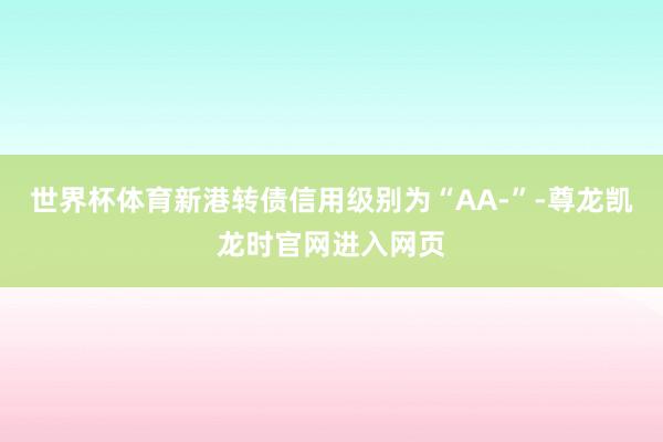 世界杯体育新港转债信用级别为“AA-”-尊龙凯龙时官网进入网页
