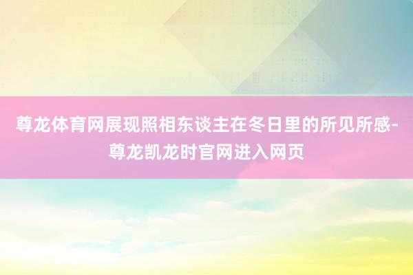 尊龙体育网展现照相东谈主在冬日里的所见所感-尊龙凯龙时官网进入网页